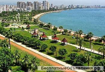 Недвижимость в Турции, сопутствующие услуги