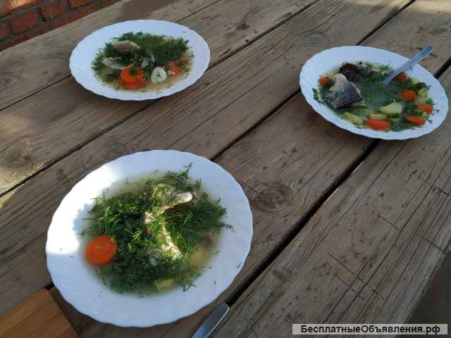 Астраханская рыбалка