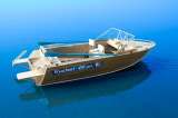 Лодку (катер) Wyatboat-490 TPro