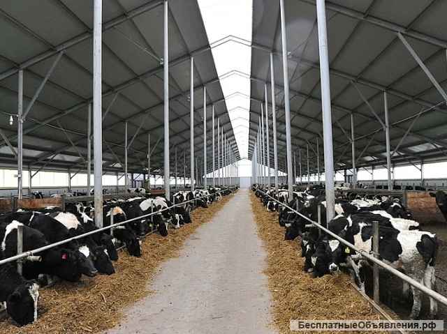 Крупное фермерское животноводческое зерноводческое хозяйства Волгоградская область