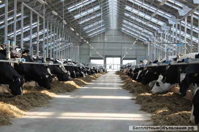 Крупное фермерское животноводческое зерноводческое хозяйства Волгоградская область