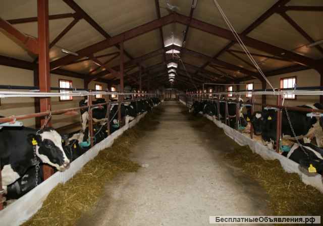 Крупное фермерское животноводческое зерноводческое хозяйства Волгоградская область