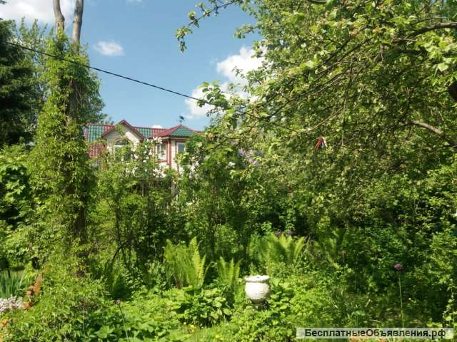 Дом или дача разные сроки