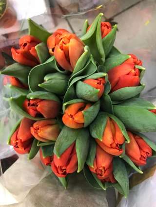 Тюльпаны и розы к 8 марта оптом