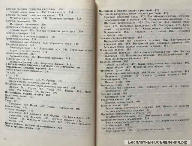 Моё хобби садовый участок