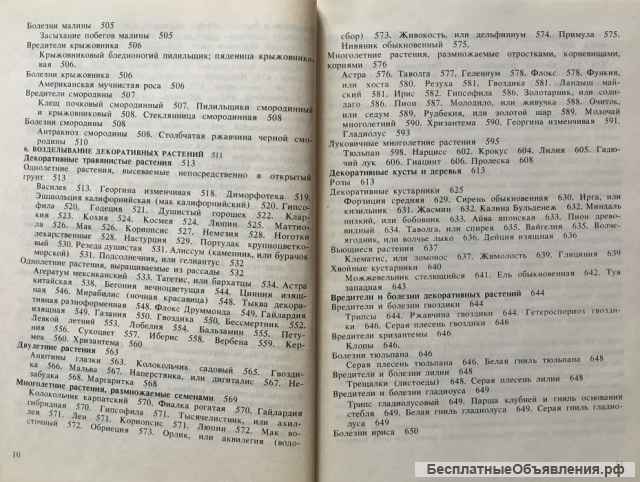 Моё хобби садовый участок