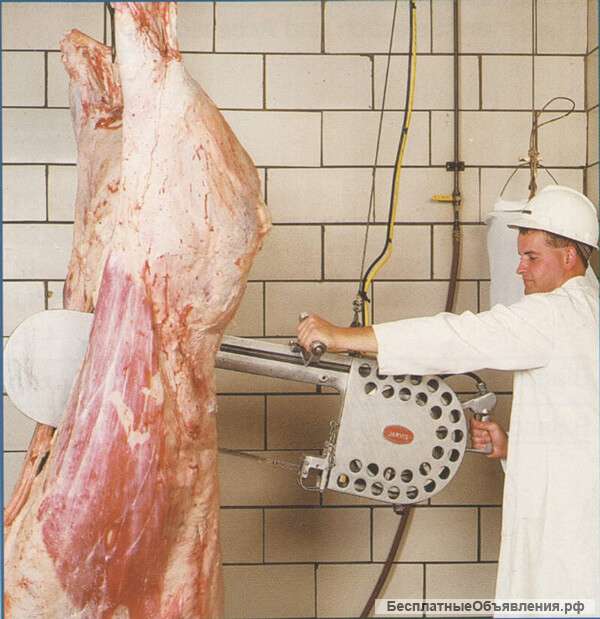 Пила для распиловки на полутуши ленточная H080