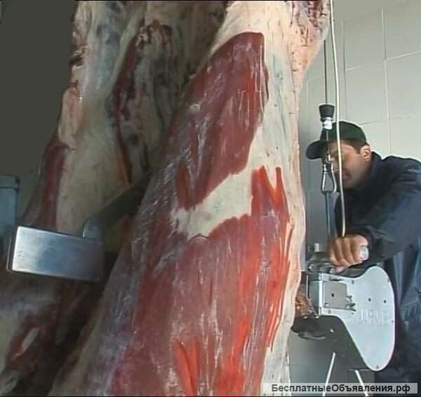 Пила для распиловки на полутуши шаговая ERS-1