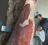 Пила для распиловки на полутуши шаговая ERS-1