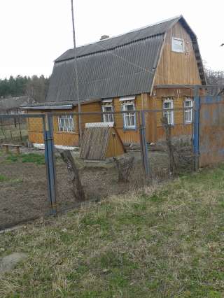Дом (дачу) в деревне Хальч Жлобинского района