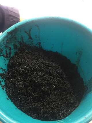 Ил гранулированный анаэробный