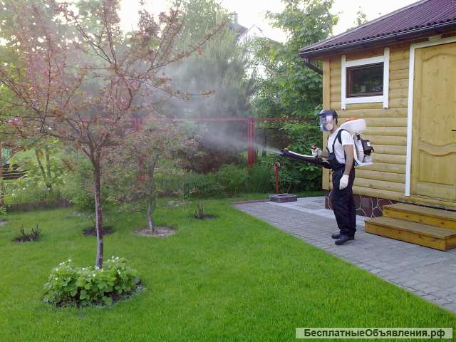 Уничтожение клещей и комаров обработка участков от насекомых Петушки