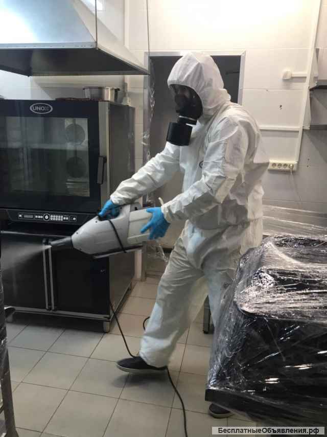 Дизинсекция