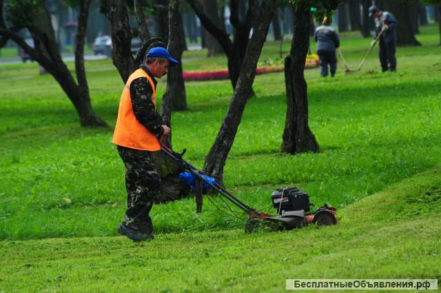 Садовник - озеленитель