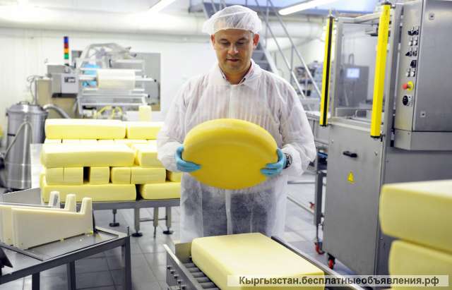 Работа в Швейцарии: Производство Сыра