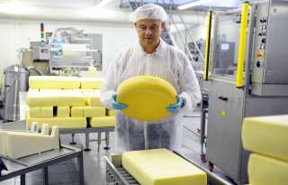 Работа в Швейцарии: Производство Сыра