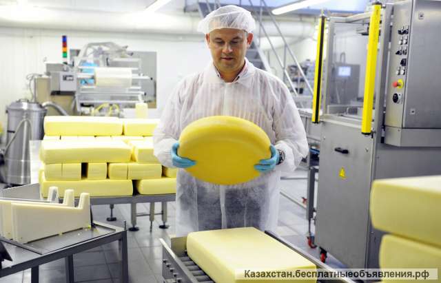 Работа в Швейцарии: Производство и Упаковка Сыра