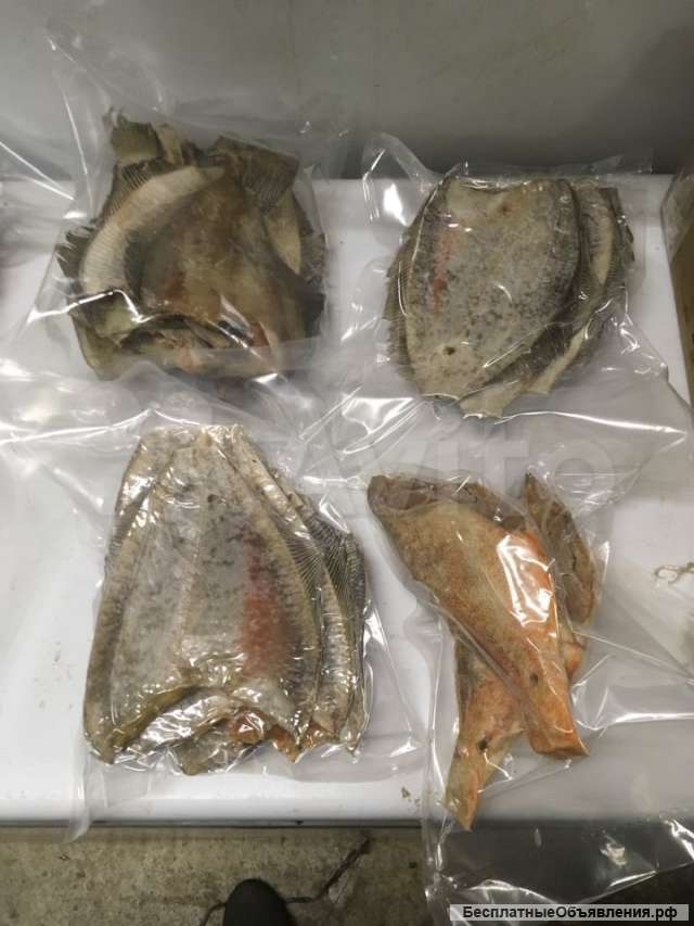 Мурманская Рыба Фото