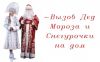 Дед мороз и снегурочка спешат в гости