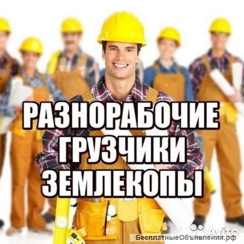Разнорабочие/ подсобники, реальная помощь в строительстве