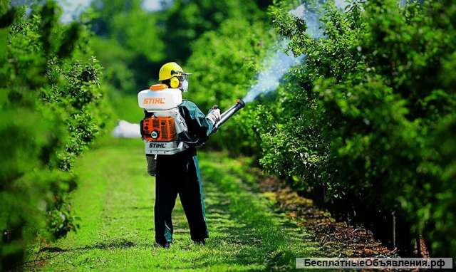 Опрыскивание от вредителей и болезней