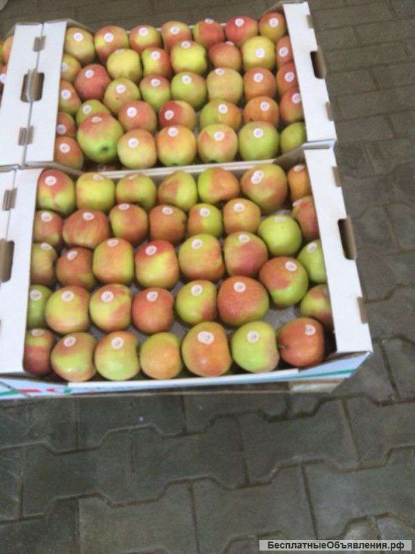 Яблоки от крупнейшего производителя в Краснодаре