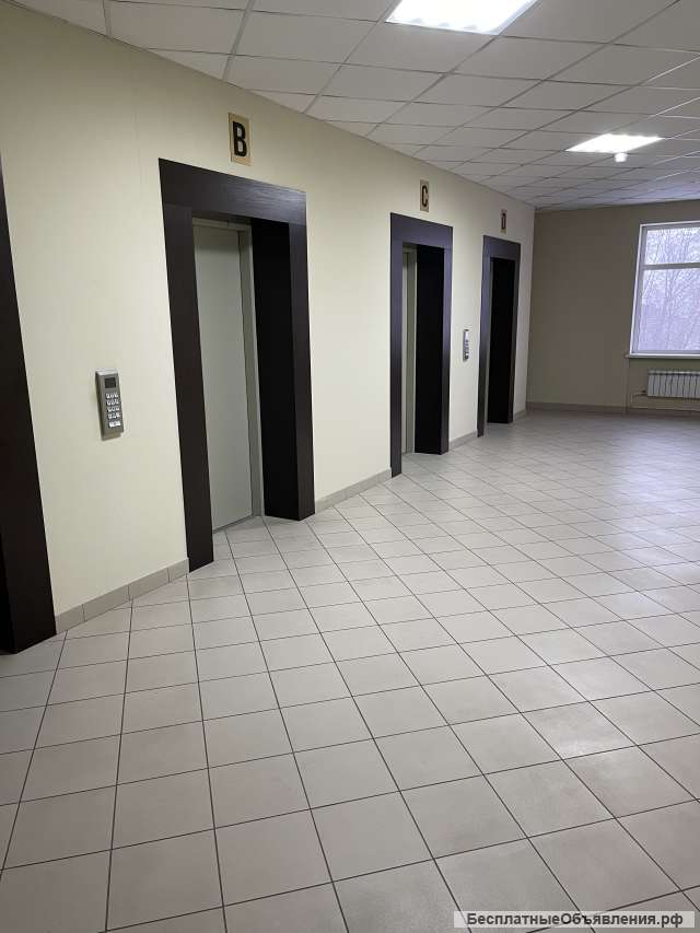 Сдается офис 48,3 м.кв. в БЦ Дело