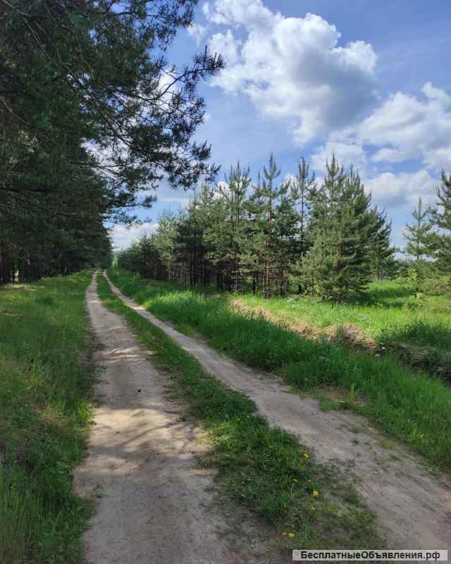 Участок 8 га для сельхозпроизводства в д. Афонасово, вблизи с. Махра