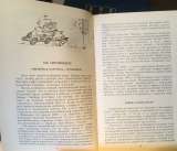 Анатолий Рыбин. По городу без аварии
