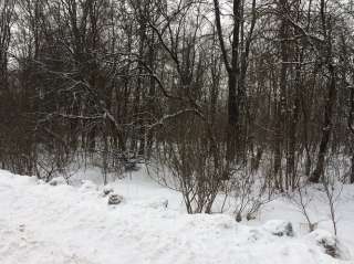 Участок под магазин и строительство