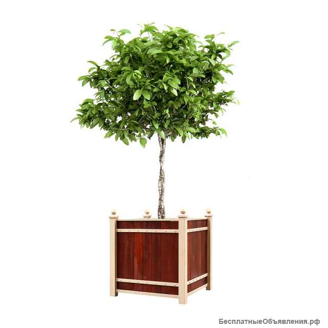 Деревянные кашпо, вазоны, цветочницы