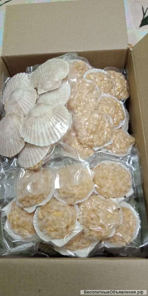 РАКУШКА SHifudo (морепродукты дальнего востока)