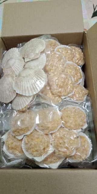 РАКУШКА SHifudo (морепродукты дальнего востока)