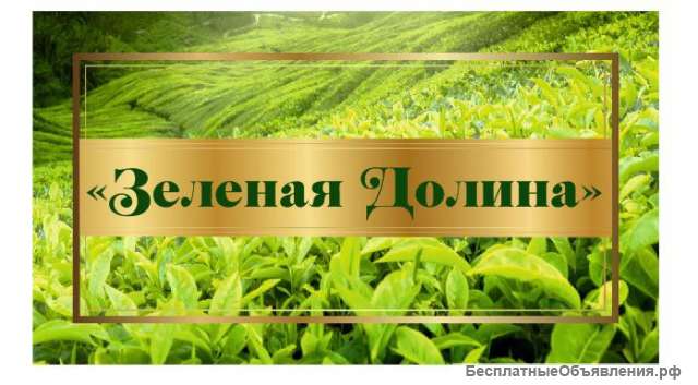 Начальник отдела продаж