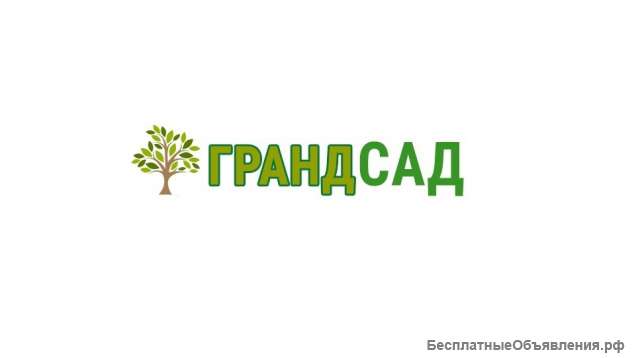 Саженцы плодовых и декоративных деревьев и кустарников из питомника