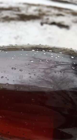 Печное топливо темное и светлое на сжигание