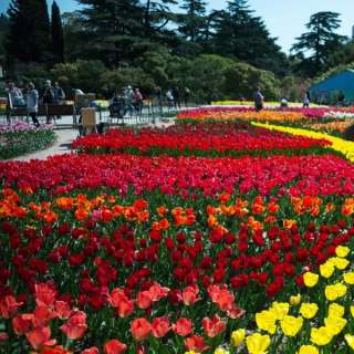 КРЫМ(Парад Тюльпанов) 10-11 Апреля