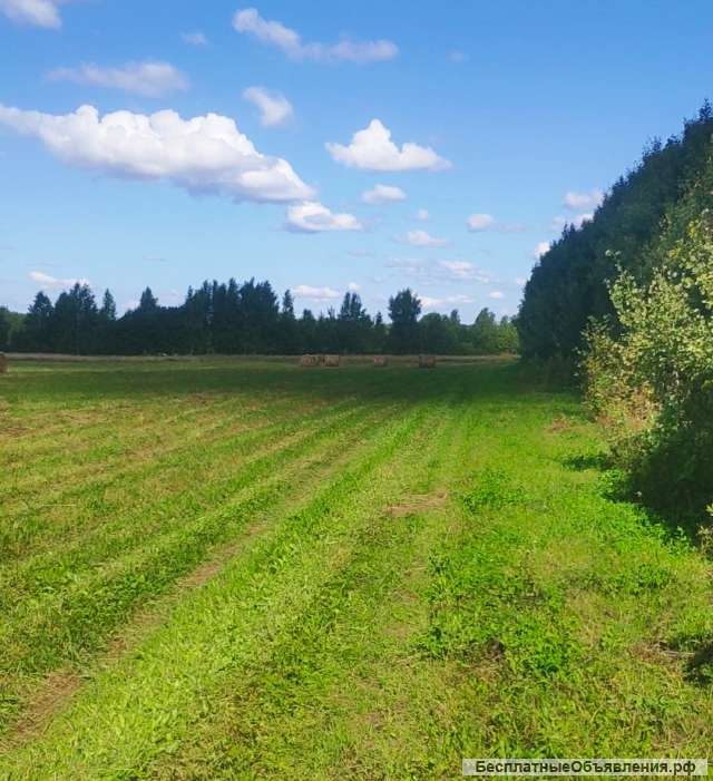 Участок 2 гектара в Москвовской области