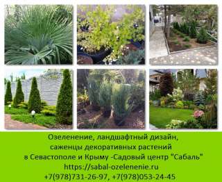 Озеленение участка Севастополь, Крым. Ландшафтный дизайн