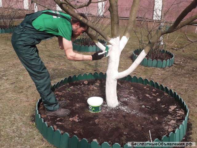 Весенняя уборка участка. Опрыскивание растений от вредителей и болезней. Услуги садовника