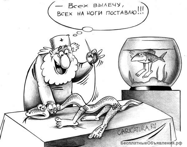 Пиявки аптечные