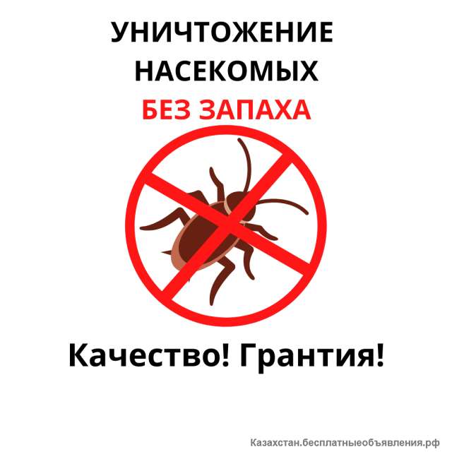 Уничтожение Насекомых Без Запаха
