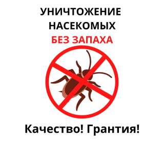 Уничтожение Насекомых Без Запаха