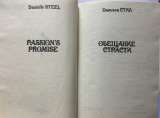 Даниэла Стил. Обещание страсти