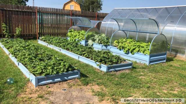 Грядки в теплицу