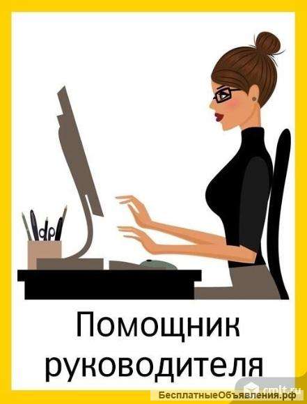 Помощник руководителя