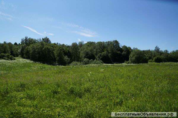 Два участка по 12 соток в строящемся садоводстве в 25 км от Старого Петергофа