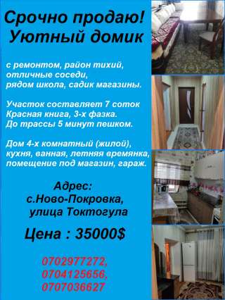 Уютный домик с ремонтом. с. Ново-Покровка