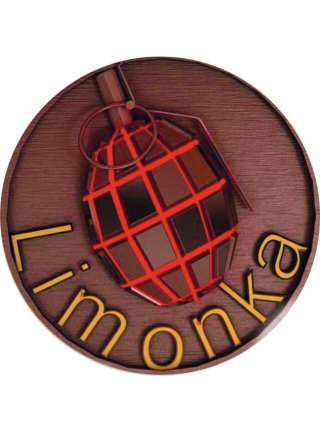 Оператор аттракциона