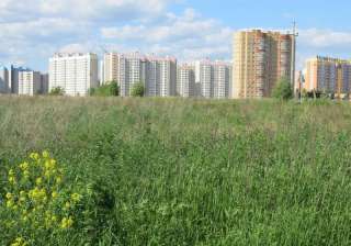 Земельный участок 38 сот